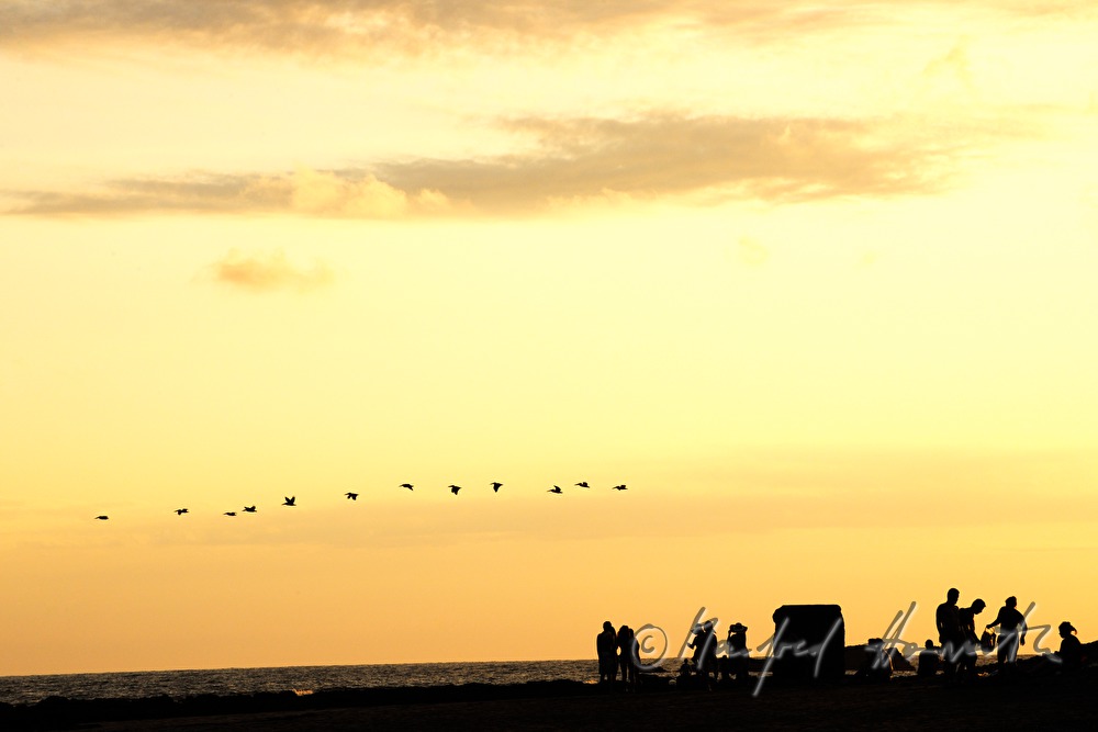 Strandbesucher bei Sonnenuntergang und Zug Wildgänse