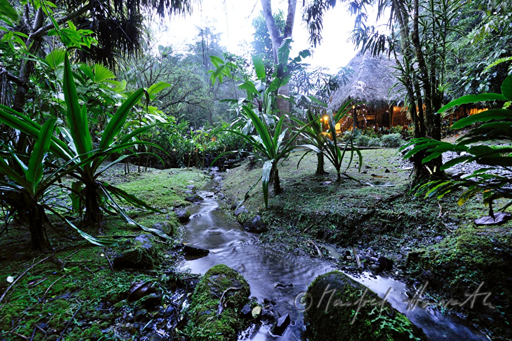 die palmblattgedeckte Esquina Rainforest Lodge