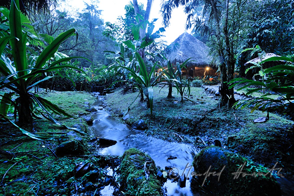 die palmblattgedeckte Esquina Rainforest Lodge