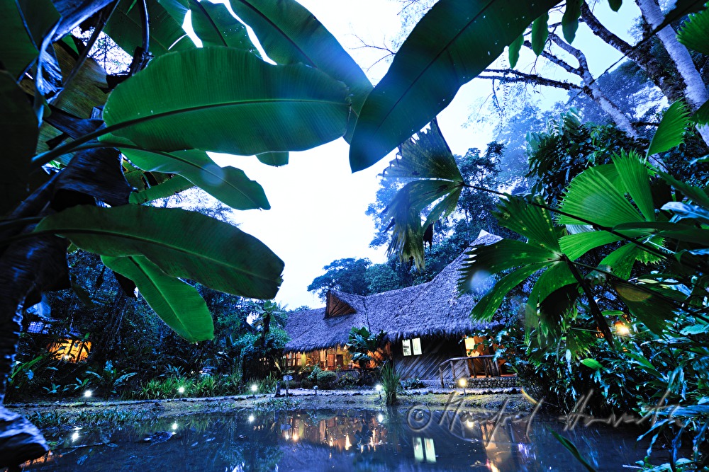 die palmblattgedeckte Esquina Rainforest Lodge