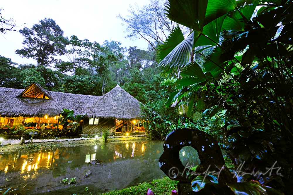 die palmblattgedeckte Esquina Rainforest Lodge
