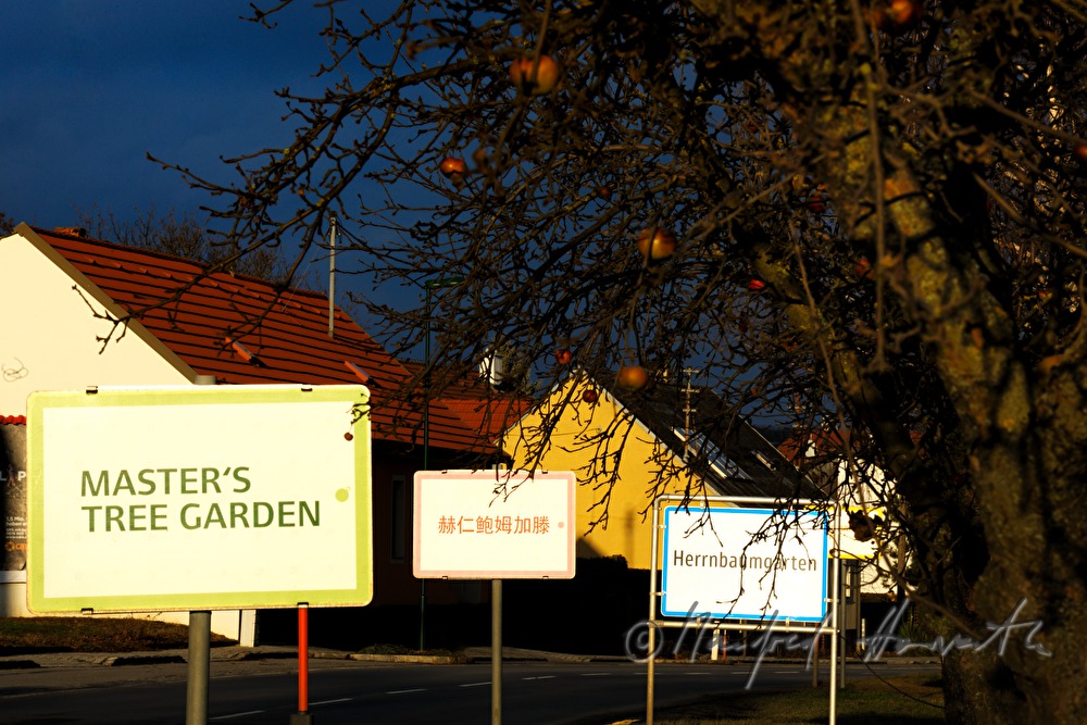 Ortstseinfahrt mit mehrsprachigen Ortstafeln (Projekt des Nonseum)