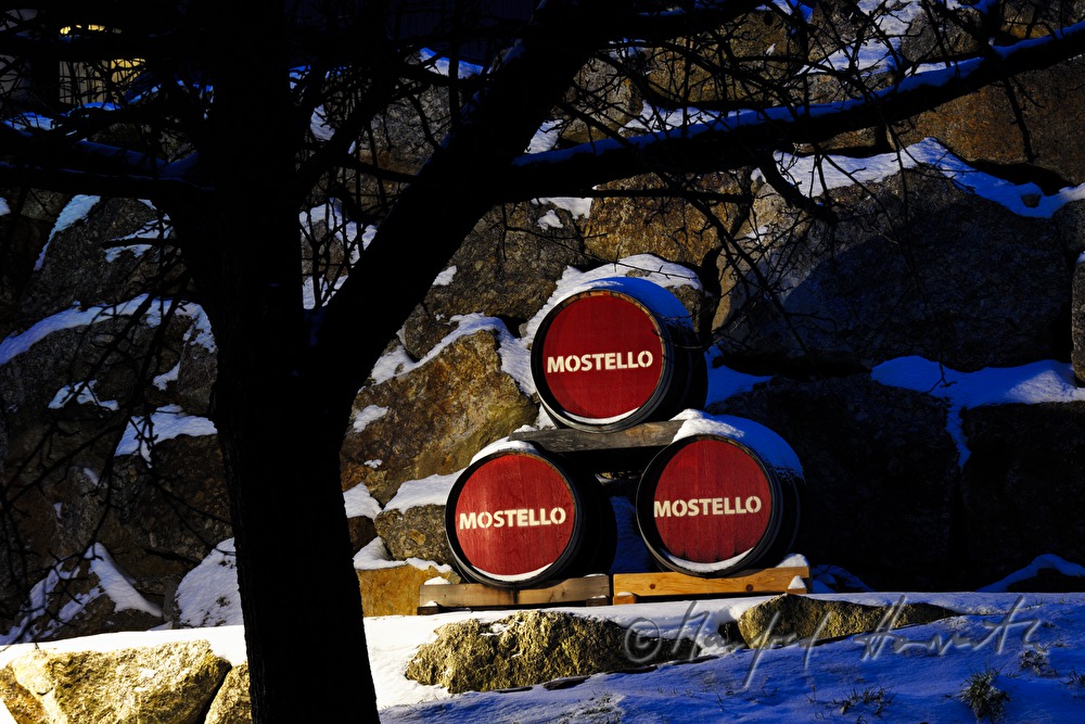 Mostello-Fässer vor der Mostelleria