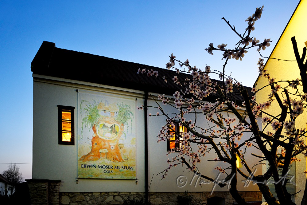 Erwin Moser Museum in der Vinothek