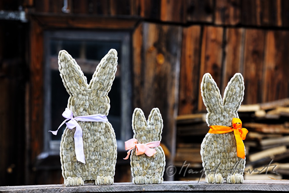 Osterhasen aus Palmkätzchen von Christine Reiner