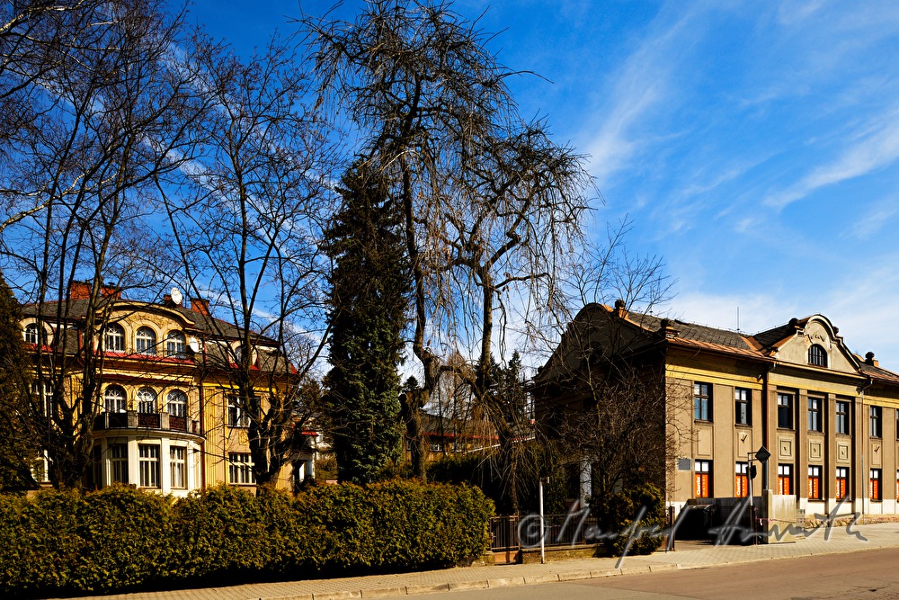 Zwirnknopf-Fabrik Slesinger und Wohnhaus mit Garten