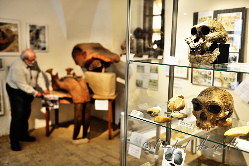 Archäologie- und Paläontologie-Ausstellung im Schloss Dürnkrut