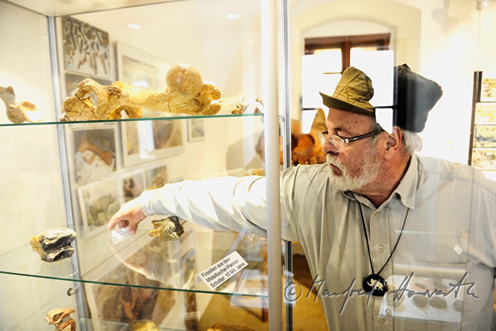 Archäologie- und Paläontologie-Ausstellung im Schloss Dürnkrut