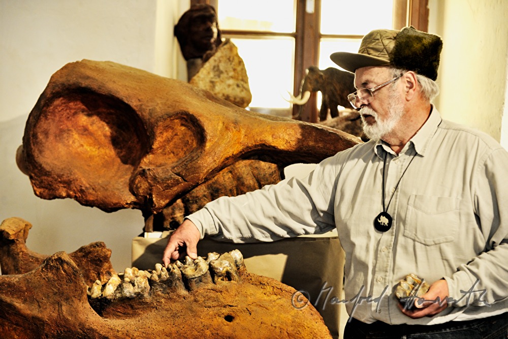 Archäologie- und Paläontologie-Ausstellung im Schloss Dürnkrut