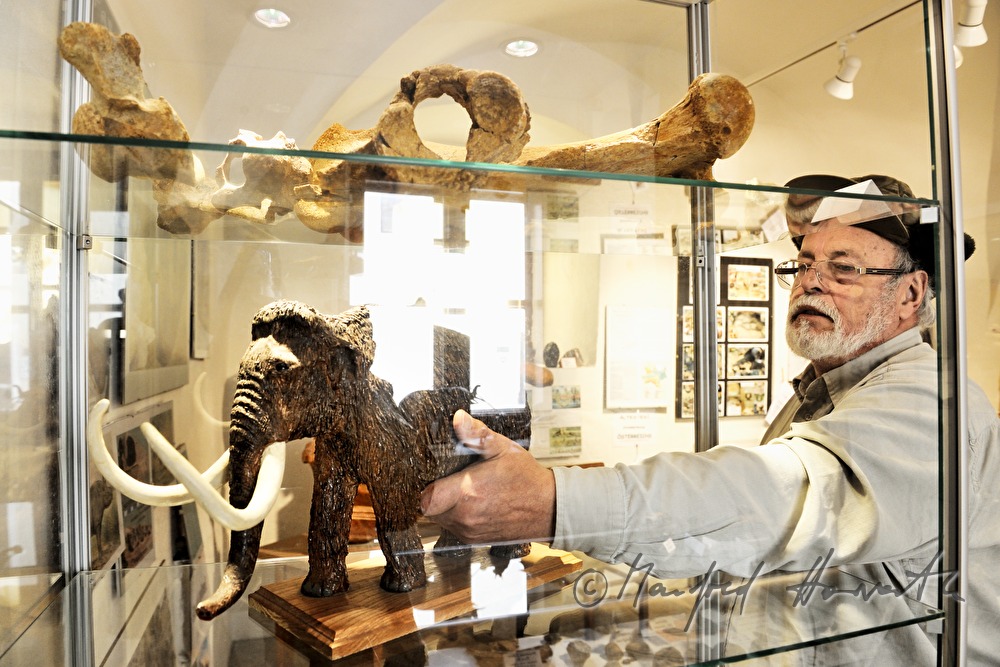 Archäologie- und Paläontologie-Ausstellung im Schloss Dürnkrut