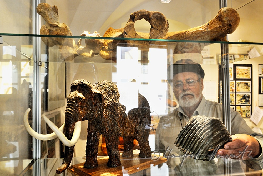 Archäologie- und Paläontologie-Ausstellung im Schloss Dürnkrut