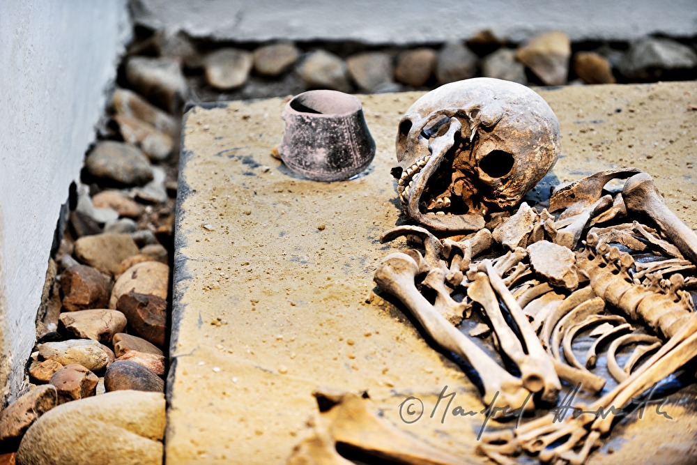 Grabungsfund in der Archäologie- und Paläontologie-Ausstellung