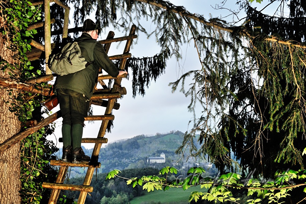 Jäger besteigt den Hochstand