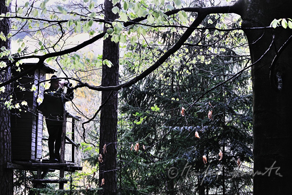 Jäger auf dem Hochstand beobachtet das Revier