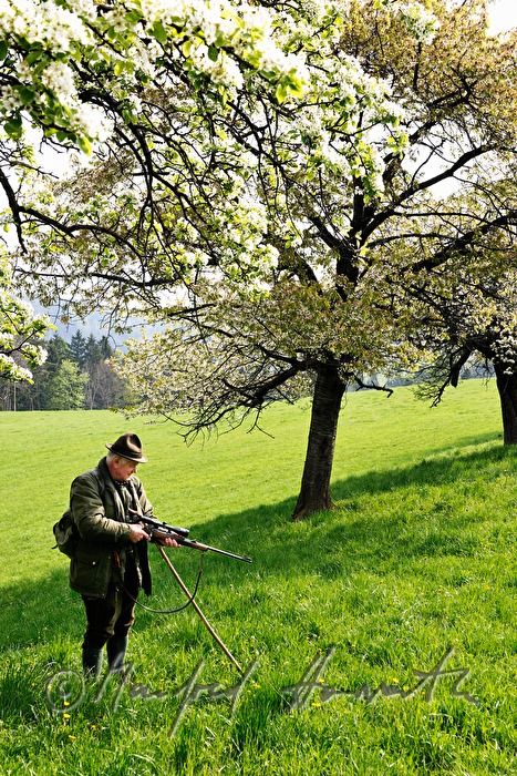 Jäger entsichert sein Gewehr in einer Obstplantage