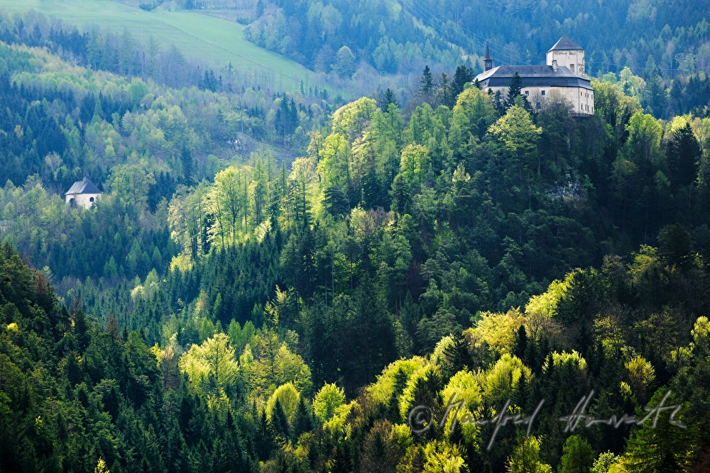 Burg Kranichberg in den Hügeln des Kranichberges