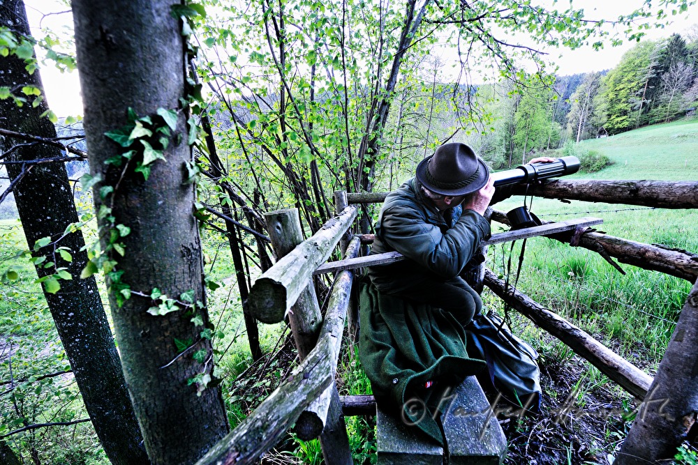 Jäger auf dem Hochstand beobachtet das Revier
