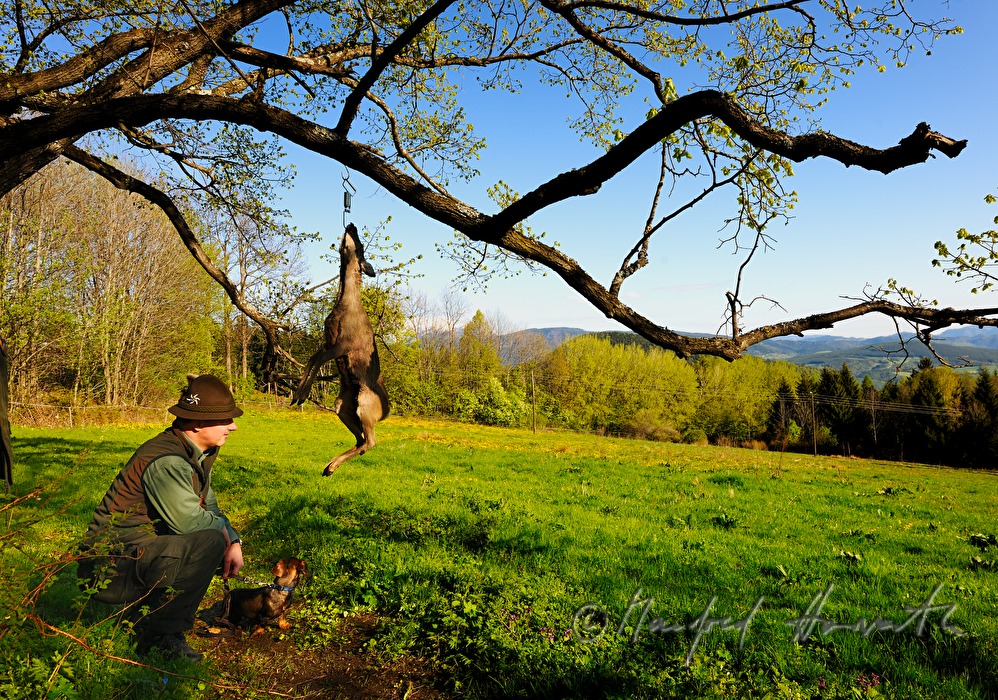 Jäger und Jagdhund und erlegtes Reh