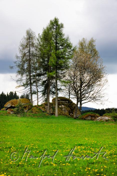 verstreute Granit-Findlinge am Rand eines Feldes