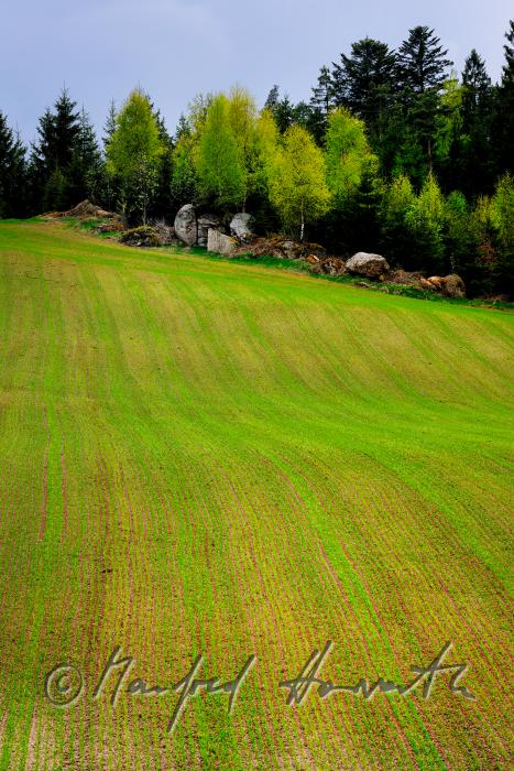 verstreute Granit-Findlinge am Rand eines Feldes