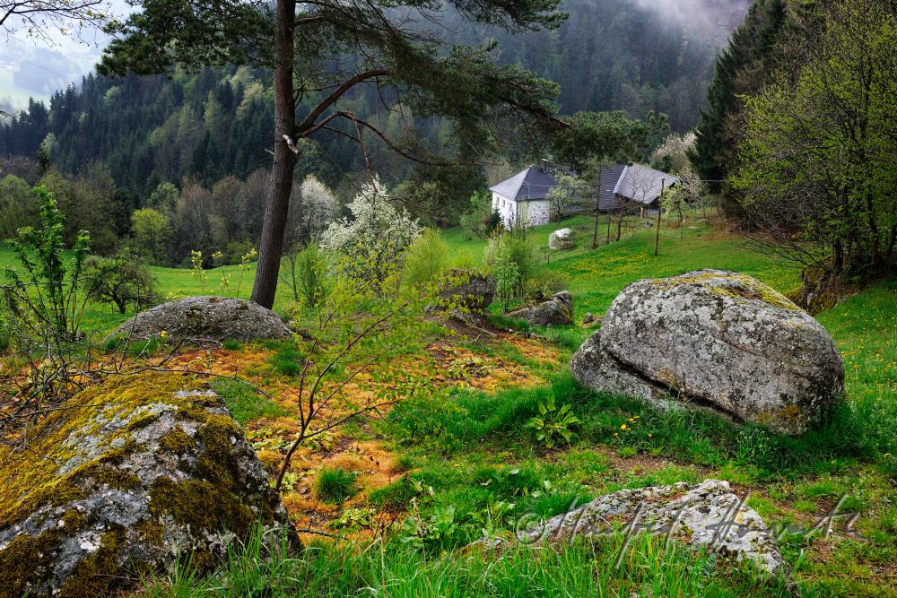 Bauernhof im typischen Mühlviertler Stil (Steinblass)