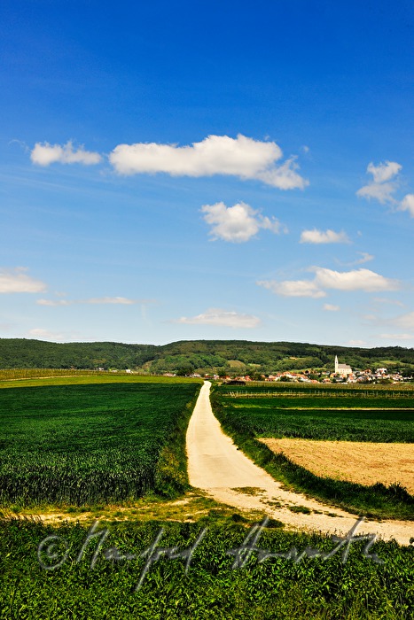 Blick vom Süden nach Kleinhöflein