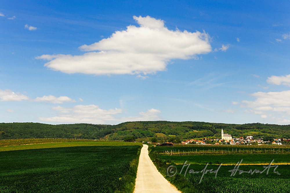 Blick vom Süden nach Kleinhöflein