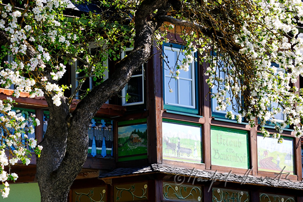 Balkon einer Pension und blühender Baum