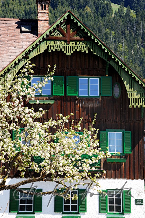Balkon einer Pension und blühender Baum