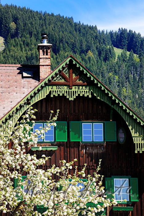 Balkon einer Pension und blühender Baum