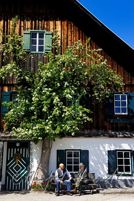 zwei Bauern vor Bauernhaus mit Birnenbaum