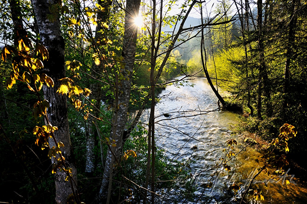 Toplitzbach dampft bei Tagesanbruch