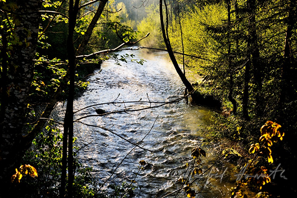 Toplitzbach dampft bei Tagesanbruch