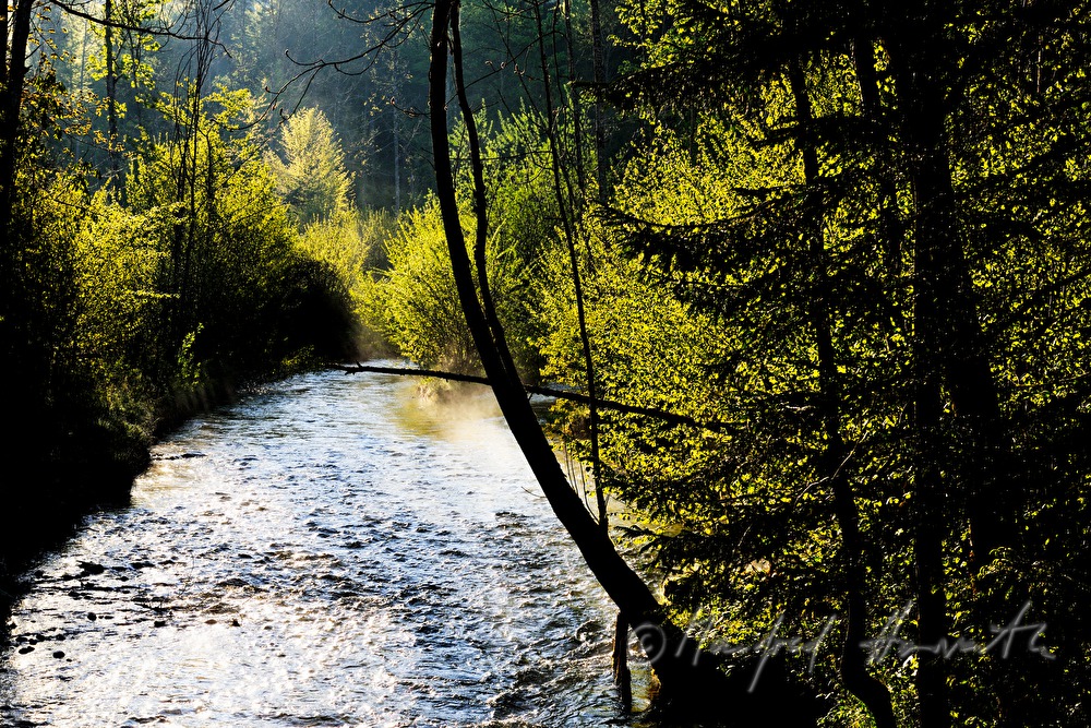 Toplitzbach dampft bei Tagesanbruch