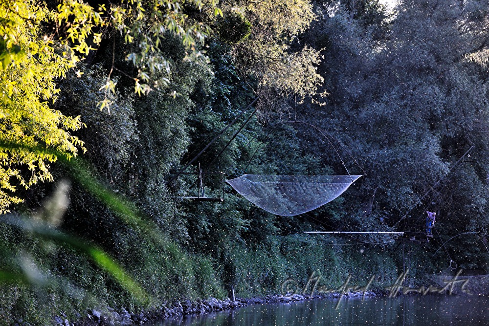 Fischerhütte mit Daubelnetz an der Thaya