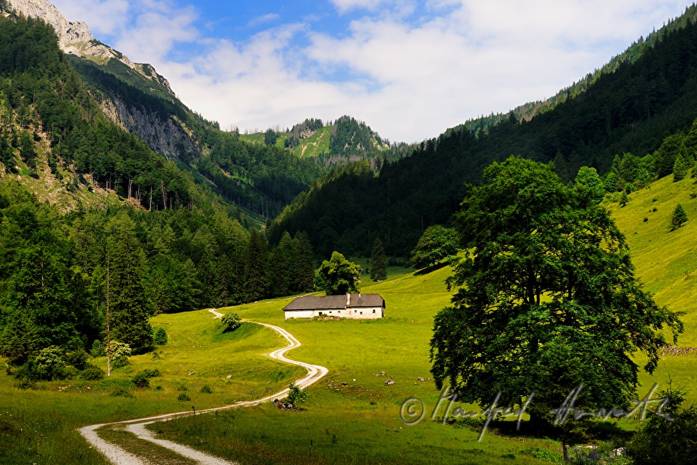 Kalkalpenweg vom Bodinggraben zur Schaumbergalm