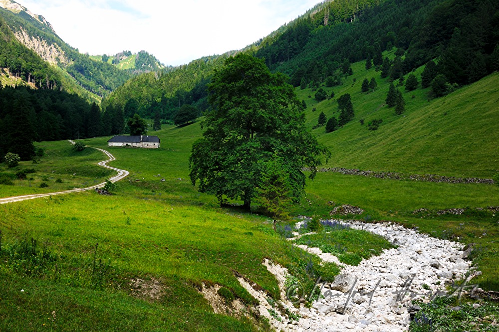 Kalkalpenweg vom Bodinggraben zur Schaumbergalm
