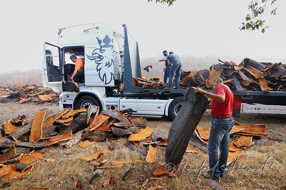 Beladen eines LKW mit Kork-Rinde