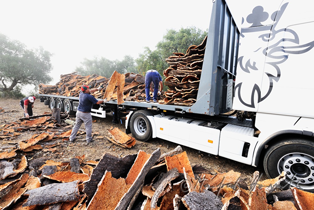 Beladen eines LKW mit Kork-Rinde