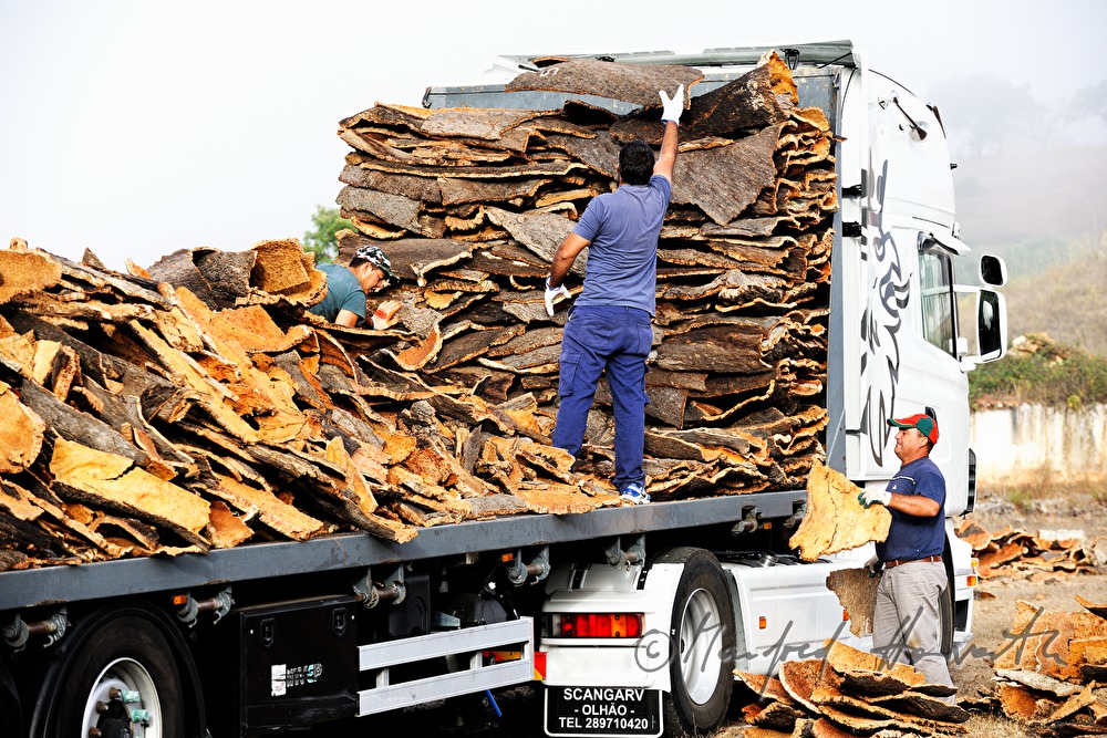 Beladen eines LKW mit Kork-Rinde