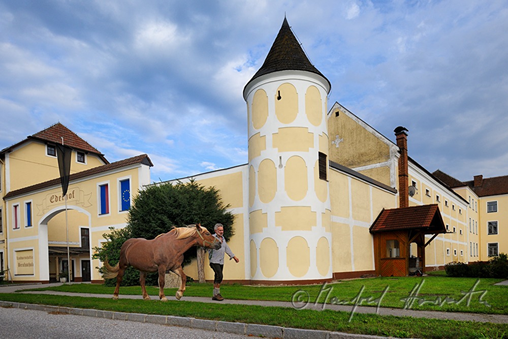 Arbeitspferd und Forstarbeiter vor dem Gutshof (Landwirtschaftliche Fachschule)