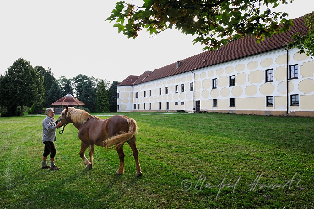 Arbeitspferd und Forstarbeiter vor dem Gutshof (Landwirtschaftliche Fachschule)