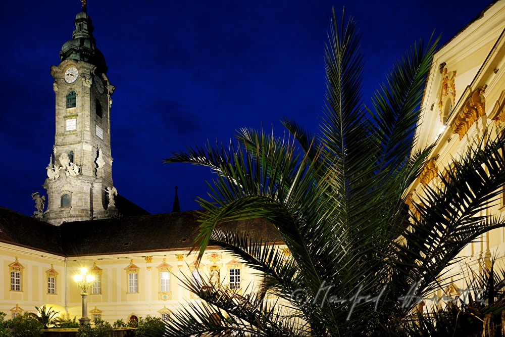Innenhof mit Stiftskirche und Palme