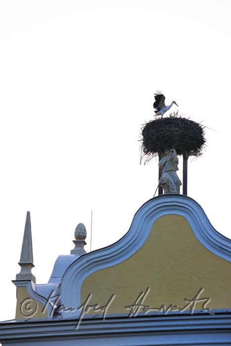 Storchennest auf dem Barock-Giebel im Innenhof