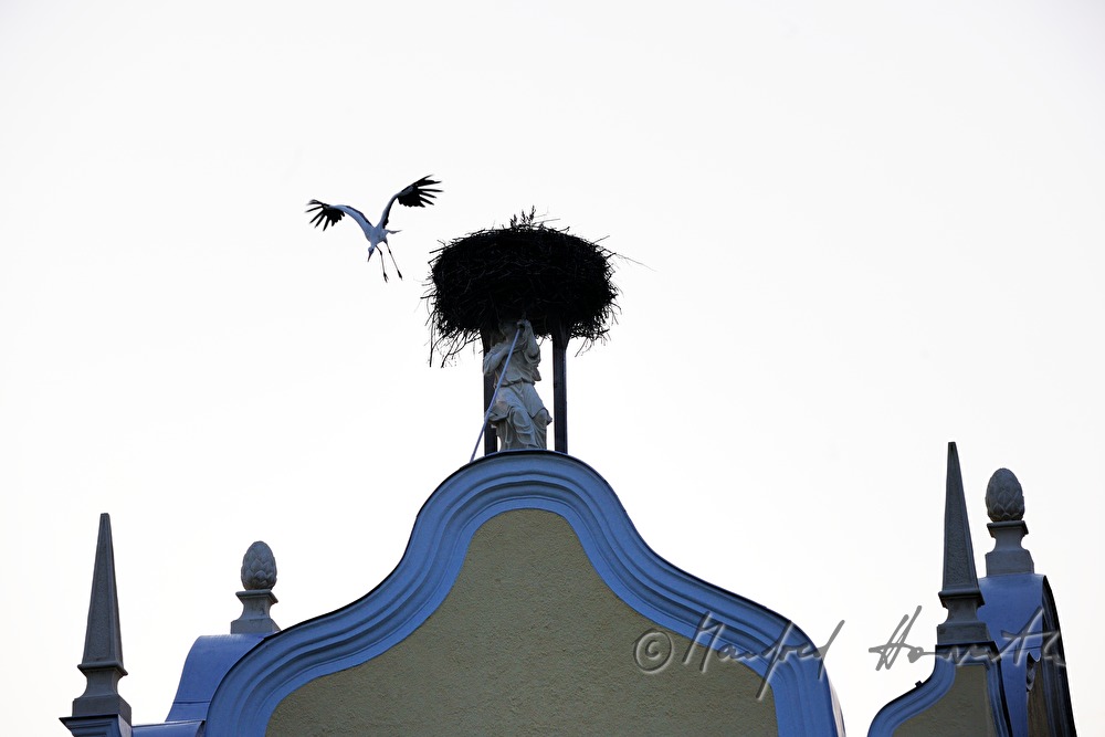 Storchennest auf dem Barock-Giebel im Innenhof