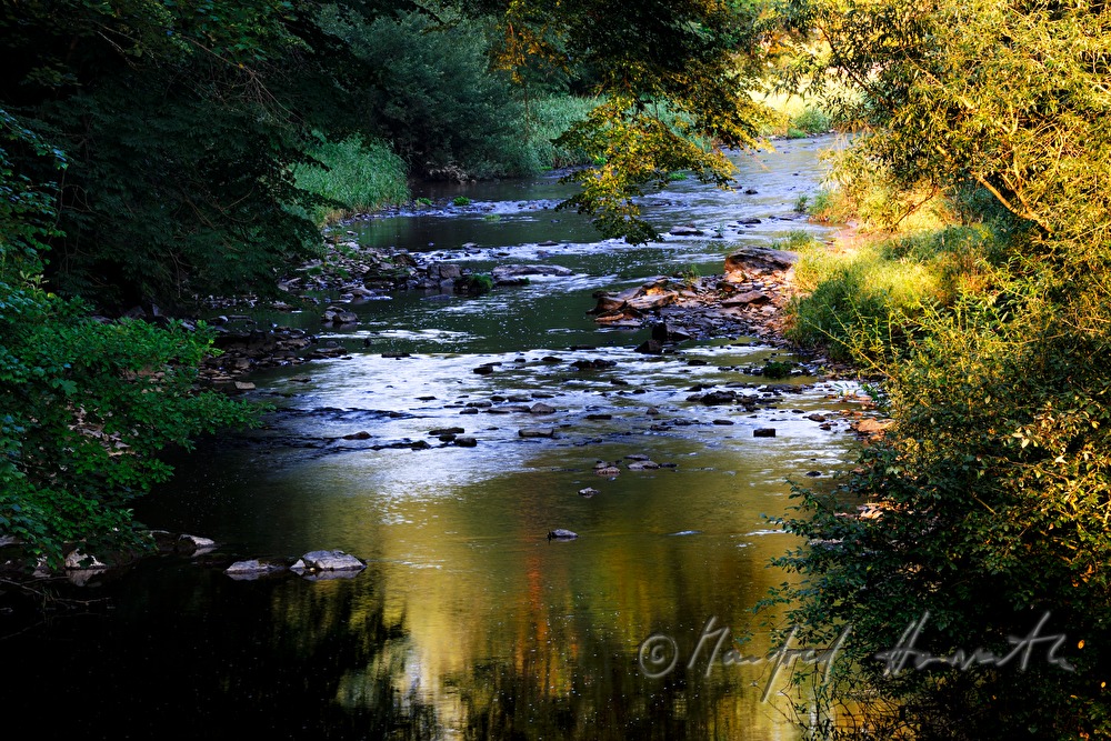 Flussbett des Kamp