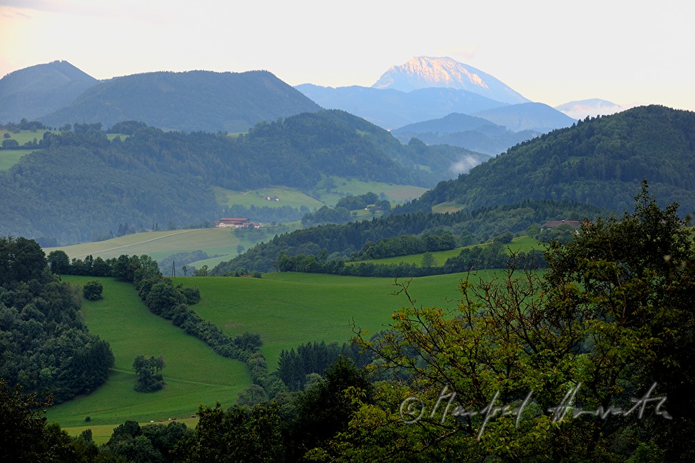 Blick über die Felder auf den Ötscher