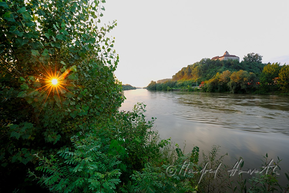Schloss Ehrenhausen auf dem Schlossberg an der Mur