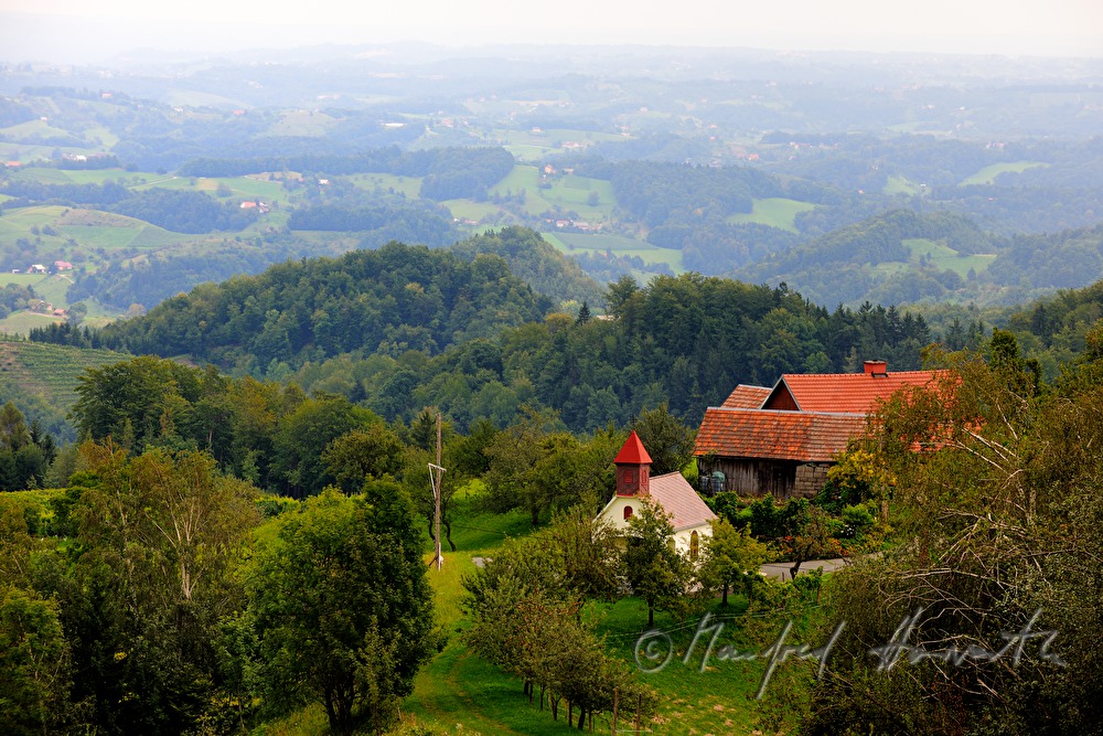 Weinberge beim Weingut Eory