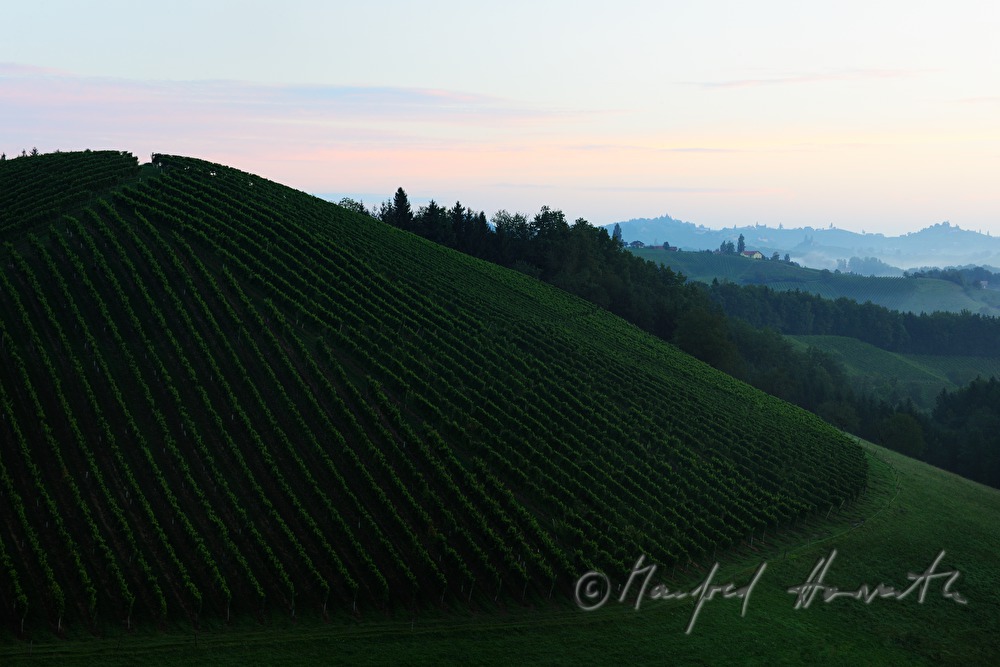 Blick über die Weinberge nach Osten